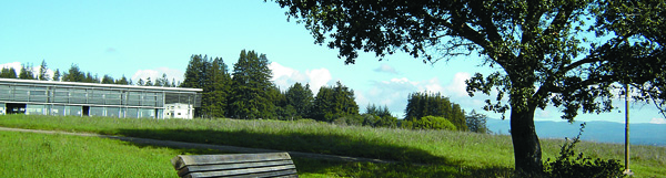 View of field house, oaks